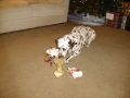 first-gift.jpg