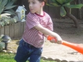 baseball-jpg