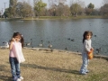 feeding-birds-jpg