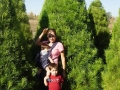 our-tree-jpg