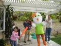 dsc00754.jpg